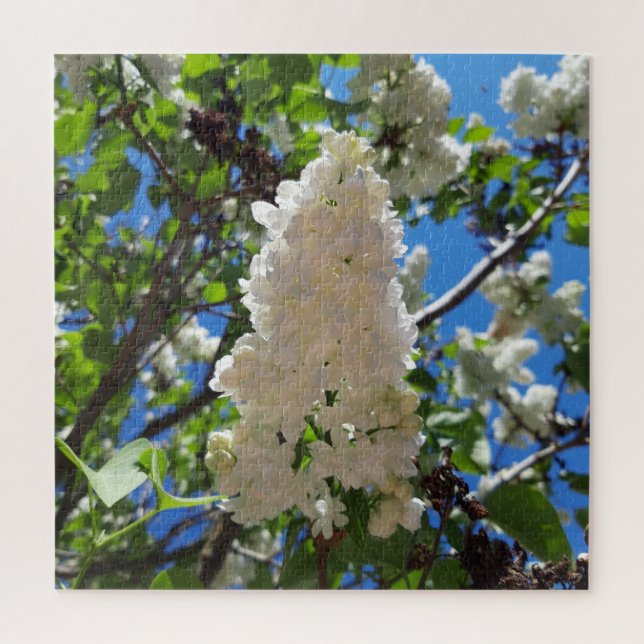 Syringa , White Lilac Flower Tree Jigsaw Puzzle (Vertical)