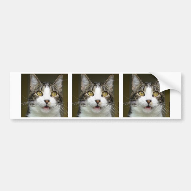 Syrus Shocked Bumper Sticker 0001 (Front)