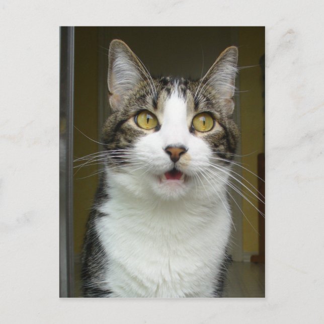 Syrus Shocked Postcard 0001 (Front)