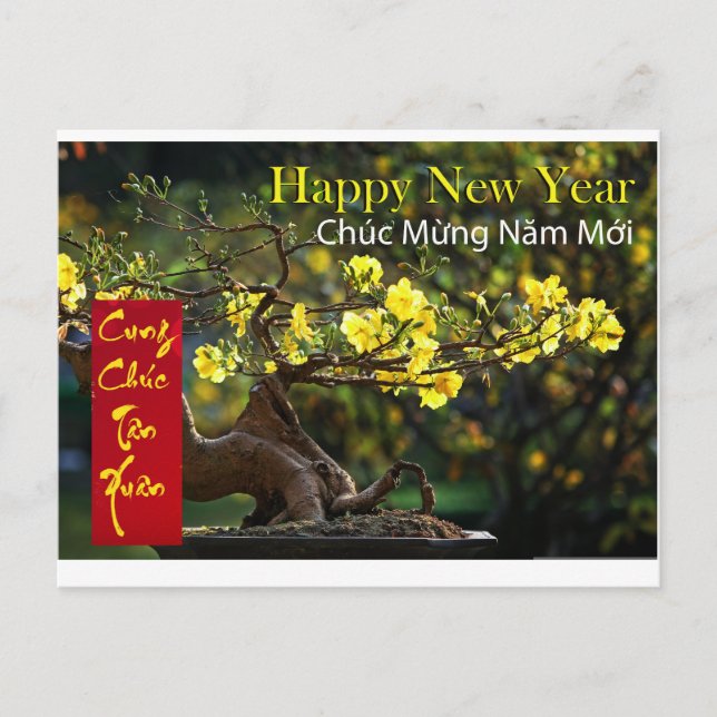 Tết Chúc Mừng Năm Mới Happy New Year 2024 Postcard (Front)
