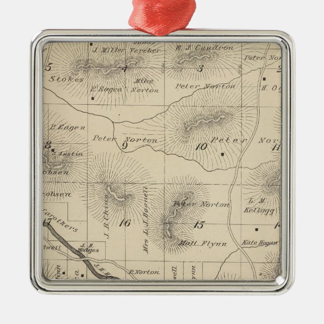 T24S R28E Tulare County Section Map Metal Ornament (Front)
