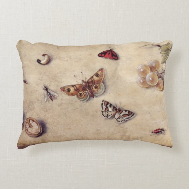 T31566 A Study of Various Insects, Fruit and Anima Decorative Pillow (Front)