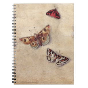 T31566 A Study of Various Insects, Fruit and Anima Notebook