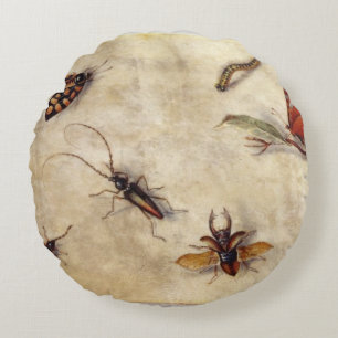 T31567 A Study of Various Insects, Fruit and Anima Round Pillow
