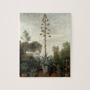 T33047 A Botanical Garden Jigsaw Puzzle