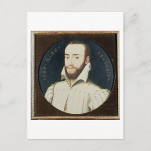 T34055 Portrait of a Bearded Gentleman, Aged 26, 1 Postcard