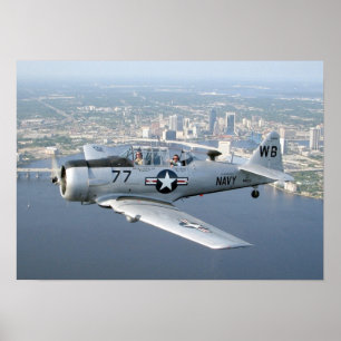 T-6 Poster texan