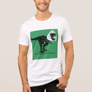 T Rex Cone of Shame Jennifer ellen Cook Tri-Blend Shirt