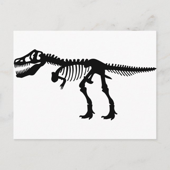 T Rex Dinosaur Skeleton Postcard (Front)
