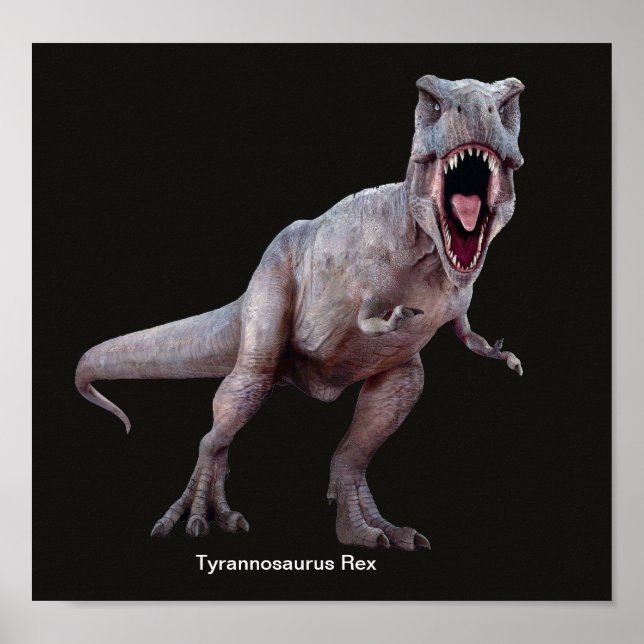 T-Rex image for Poster (Front)