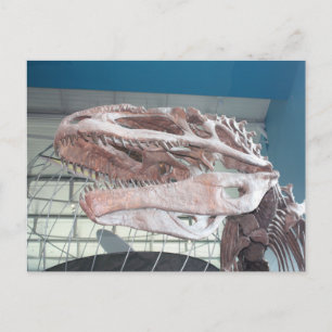 T-Rex Postcard