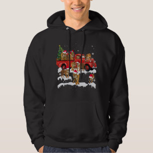 T-rex Riding Red Truck Christmas Tree Believe Sant Hoodie