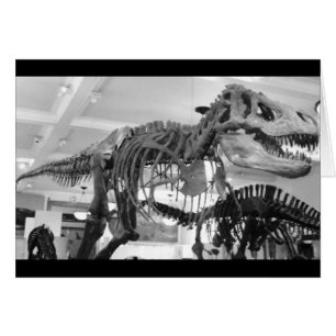 T-Rex Skeleton Pencil