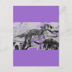 T-Rex Skeleton Pencil Postcard