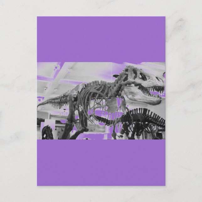 T-Rex Skeleton Pencil Postcard (Front)