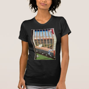 T-shirt 猫と富士山, chat de 広重 et mont Fuji, Hiroshige