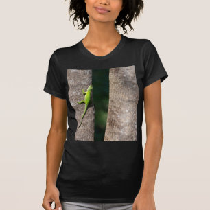 T-shirt 15 Minutes.JPG