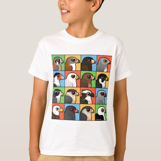T-shirt 16 profils de Nord-américain Raptor (Devant)