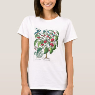 T-shirt 1.Solanum Pomiferum; 2.Amaracus vulgaris, from the