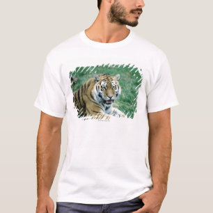 T-SHIRT 24103189