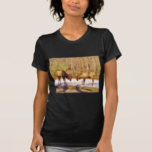 T-shirt 2~ deux Bull Elk dans la neige