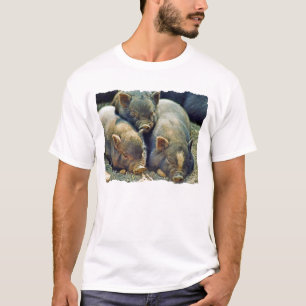 T-shirt 3 petits porcs