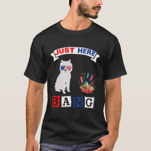 T-shirt 4 juillet États-Unis Drapeau Feu d'artifice Americ