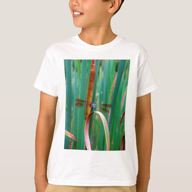 T-shirt A teal Eyed Dragonfly with cattails (Devant)