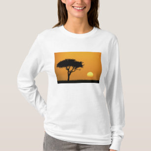 T-shirt Acacia unique silhouette au lever du soleil, Masai