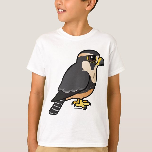 T-shirt ADiplomado Falcon (Devant)