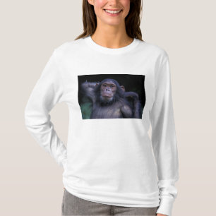 T-shirt Afrique, Afrique de l'Est, Tanzanie, Gombe Nationa