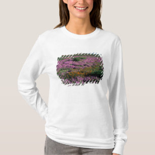 T-shirt Afrique, Afrique du Sud, Namaqualand, Orange et