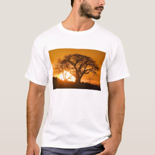 T-shirt Afrique, Botswana, Coucher de soleil silhouette Ba