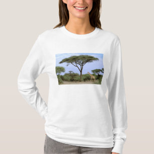 T-shirt Afrique, Botswana, Delta de l'Okavango. Sud
