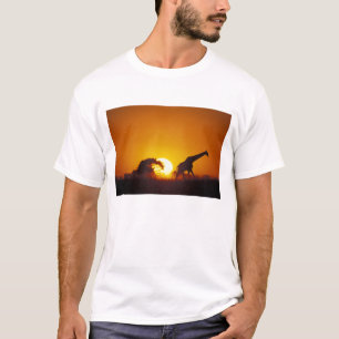 T-shirt Afrique, Botswana, Parc national de Chobe, Girafe