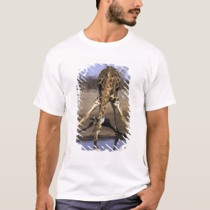 T-shirt Afrique, Botswana, Parc national de Chobe, Giraffe