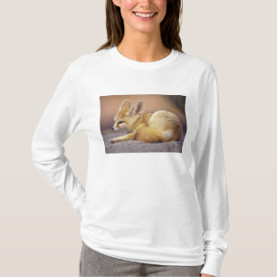 T-shirt Afrique du Nord. Fennec Fennecus zerda)
