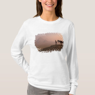 T-shirt Afrique, Égypte, Le Caire, Giza, pyramides de Gize