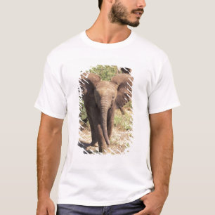 T-shirt Afrique, Kenya, Parc national d'Amboseli. Africain