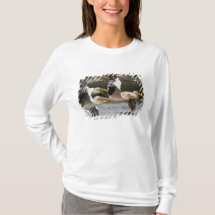 T-shirt Afrique. Kenya. Pélicans blancs en vol au lac