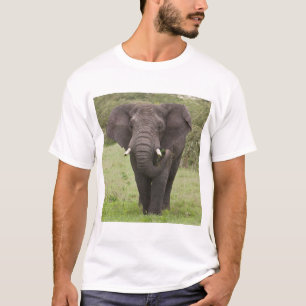 T-shirt Afrique Tanzanie Elephant au cratère de Ngorongoro