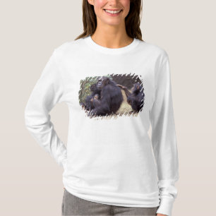 T-shirt Afrique, Tanzanie, Parc national de Gombe femelle 