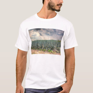 T-shirt Agave bleu