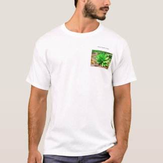 T-shirt Agave - promenade dans le jardin