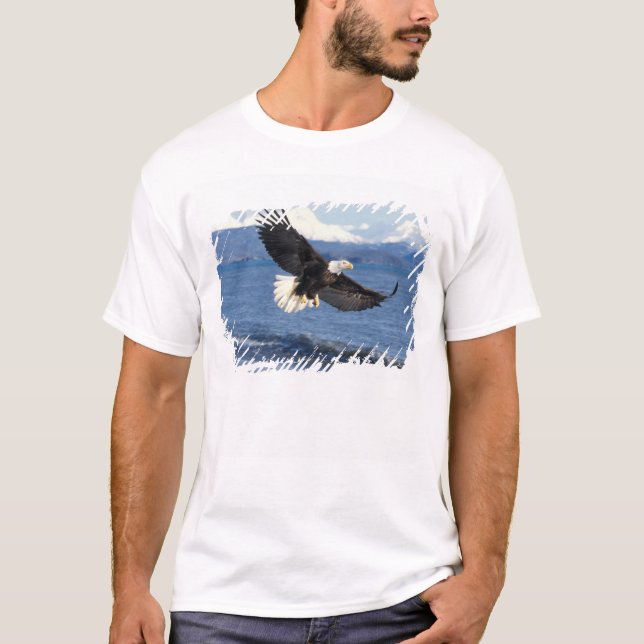 T-shirt aigle à tête blanche, Haliaeetus leuccocephalus en (Devant)