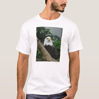 T-shirt aigle chauve magestic se reposant dans l'arbre