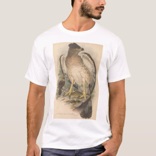 T-shirt Aigle de Nouvelle-Guinée, adulte