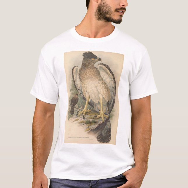 T-shirt Aigle de Nouvelle-Guinée, adulte (Devant)