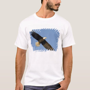 T-shirt Aigle, Haliaeetus leucocephalus, Homer, 4
