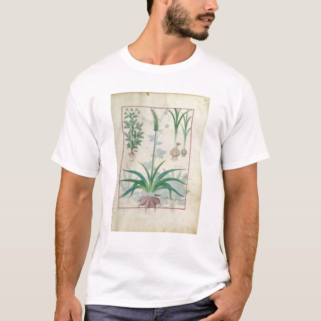 T-shirt Ail et d'autres plantes (Devant)